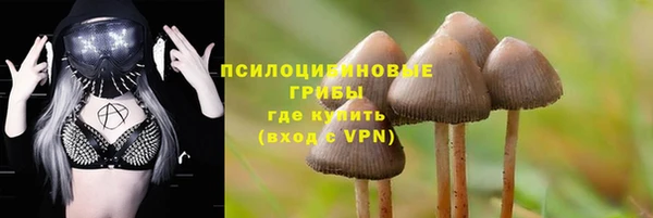 гашишное масло Дмитровск
