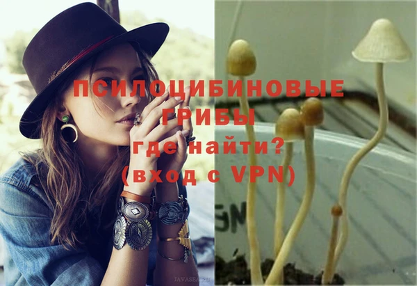 тгк Дмитриев